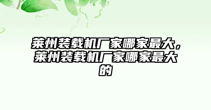 萊州裝載機廠家哪家最大，萊州裝載機廠家哪家最大的