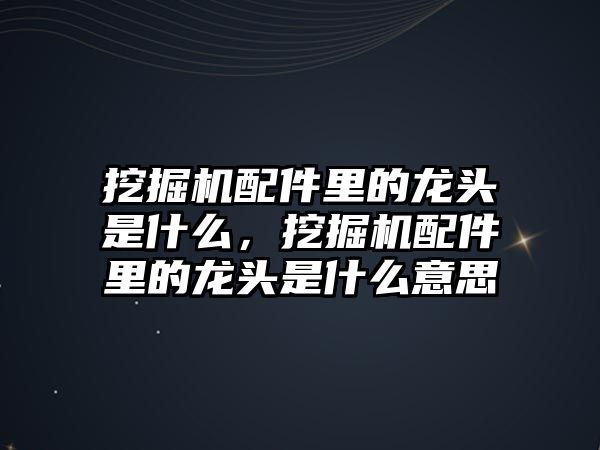 挖掘機(jī)配件里的龍頭是什么，挖掘機(jī)配件里的龍頭是什么意思