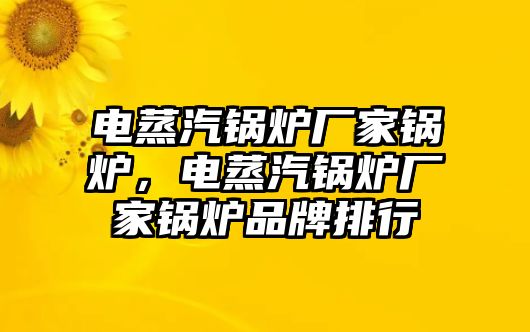 電蒸汽鍋爐廠家鍋爐，電蒸汽鍋爐廠家鍋爐品牌排行