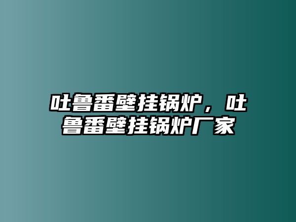 吐魯番壁掛鍋爐，吐魯番壁掛鍋爐廠家