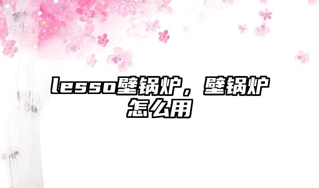 lesso壁鍋爐，壁鍋爐怎么用