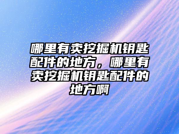 哪里有賣挖掘機鑰匙配件的地方，哪里有賣挖掘機鑰匙配件的地方啊