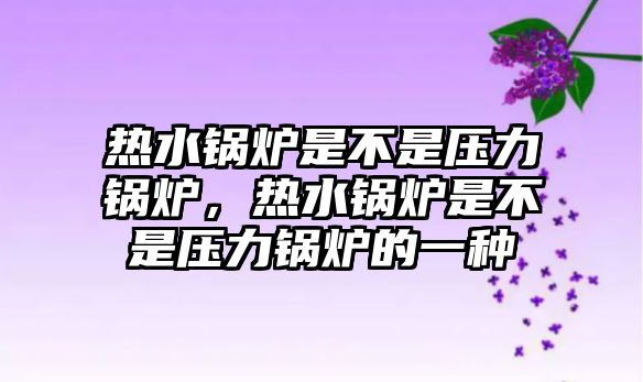 熱水鍋爐是不是壓力鍋爐，熱水鍋爐是不是壓力鍋爐的一種