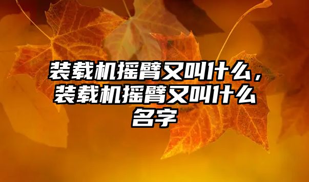 裝載機搖臂又叫什么，裝載機搖臂又叫什么名字