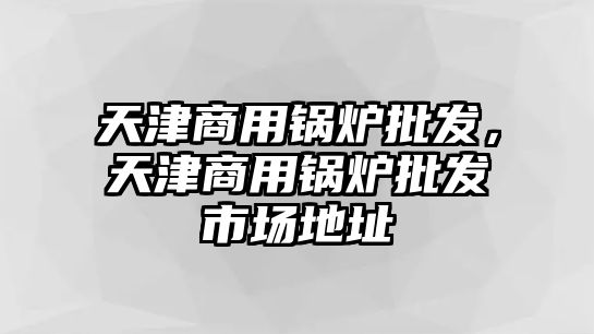 天津商用鍋爐批發(fā)，天津商用鍋爐批發(fā)市場地址