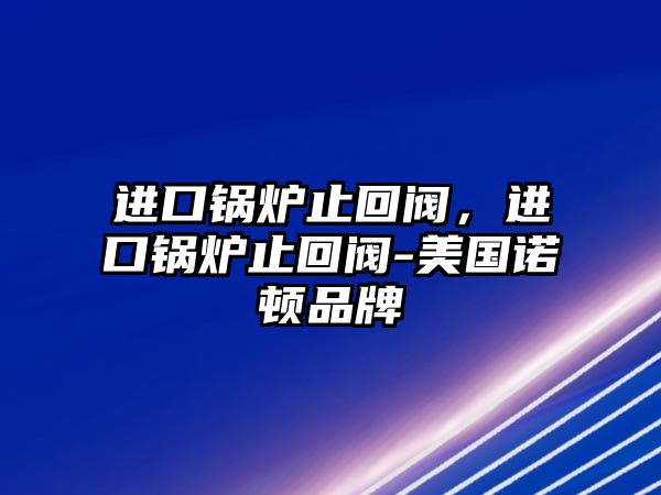 進(jìn)口鍋爐止回閥，進(jìn)口鍋爐止回閥-美國諾頓品牌