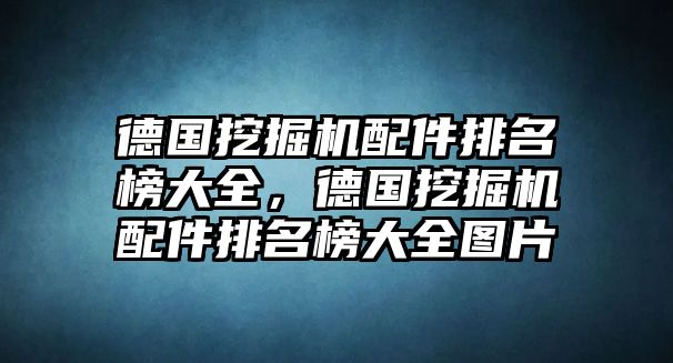 德國(guó)挖掘機(jī)配件排名榜大全，德國(guó)挖掘機(jī)配件排名榜大全圖片