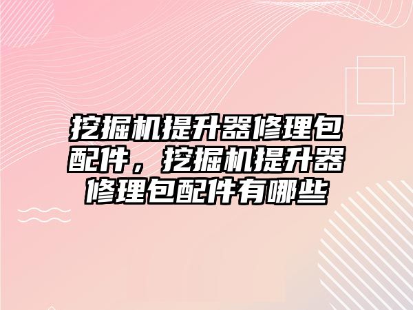 挖掘機提升器修理包配件，挖掘機提升器修理包配件有哪些