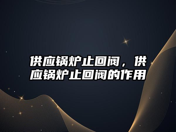 供應鍋爐止回閥，供應鍋爐止回閥的作用