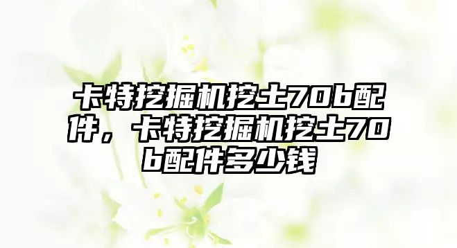 卡特挖掘機(jī)挖土70b配件，卡特挖掘機(jī)挖土70b配件多少錢