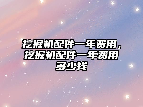 挖掘機配件一年費用，挖掘機配件一年費用多少錢