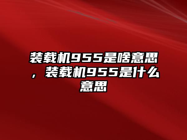 裝載機(jī)955是啥意思，裝載機(jī)955是什么意思