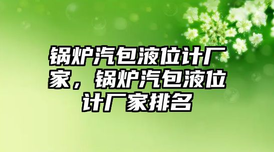 鍋爐汽包液位計廠家，鍋爐汽包液位計廠家排名