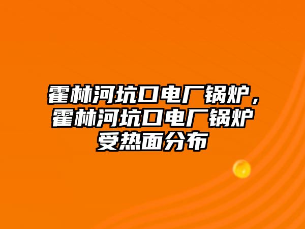 霍林河坑口電廠鍋爐，霍林河坑口電廠鍋爐受熱面分布