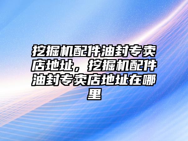 挖掘機(jī)配件油封專賣店地址，挖掘機(jī)配件油封專賣店地址在哪里