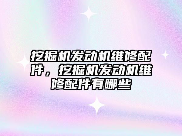 挖掘機發(fā)動機維修配件，挖掘機發(fā)動機維修配件有哪些