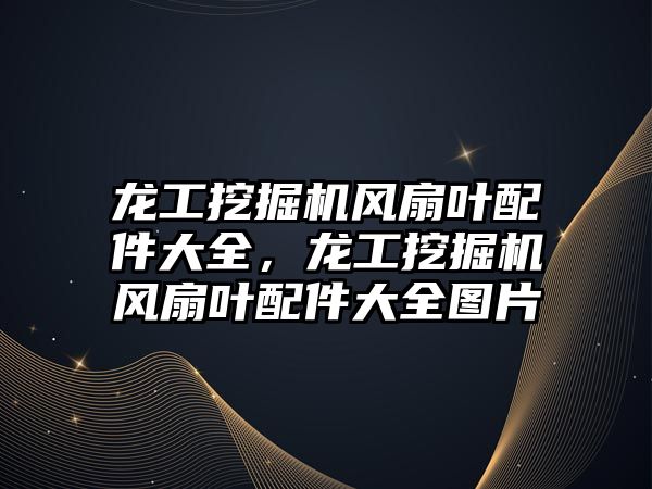 龍工挖掘機風扇葉配件大全，龍工挖掘機風扇葉配件大全圖片