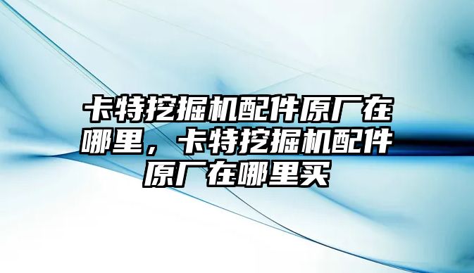 卡特挖掘機(jī)配件原廠在哪里，卡特挖掘機(jī)配件原廠在哪里買