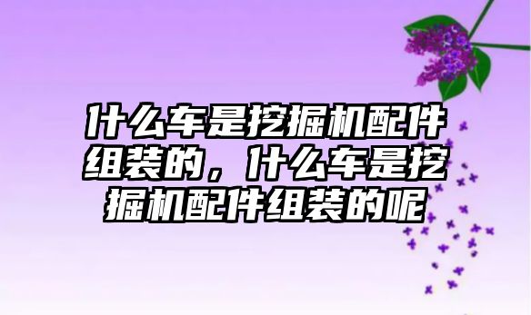 什么車是挖掘機(jī)配件組裝的，什么車是挖掘機(jī)配件組裝的呢