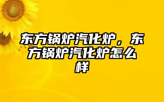 東方鍋爐汽化爐，東方鍋爐汽化爐怎么樣