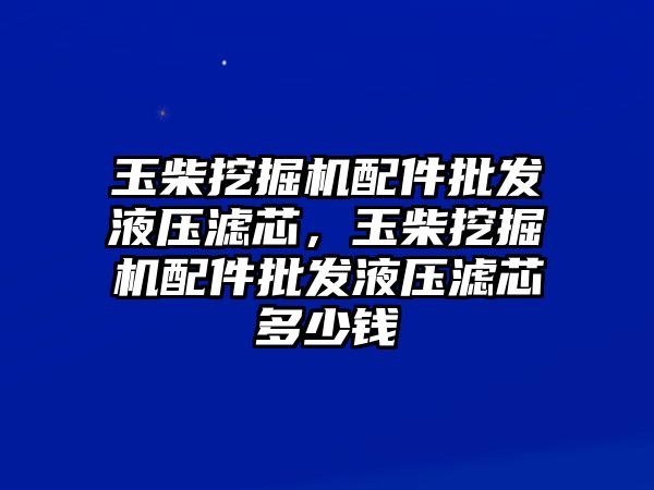 玉柴挖掘機配件批發(fā)液壓濾芯，玉柴挖掘機配件批發(fā)液壓濾芯多少錢