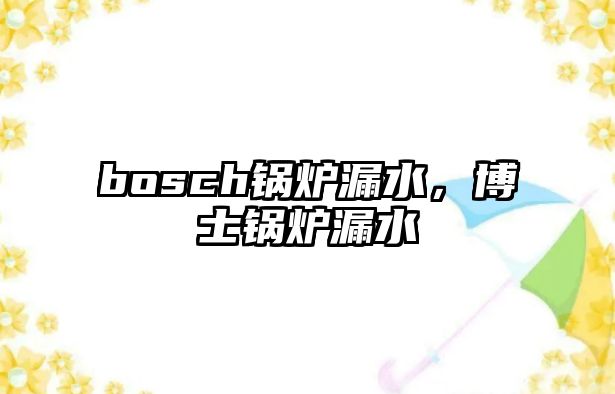 bosch鍋爐漏水，博士鍋爐漏水