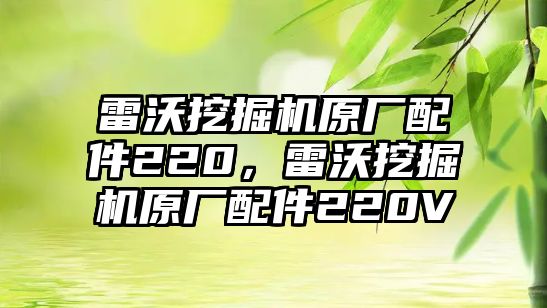 雷沃挖掘機原廠配件220，雷沃挖掘機原廠配件220V