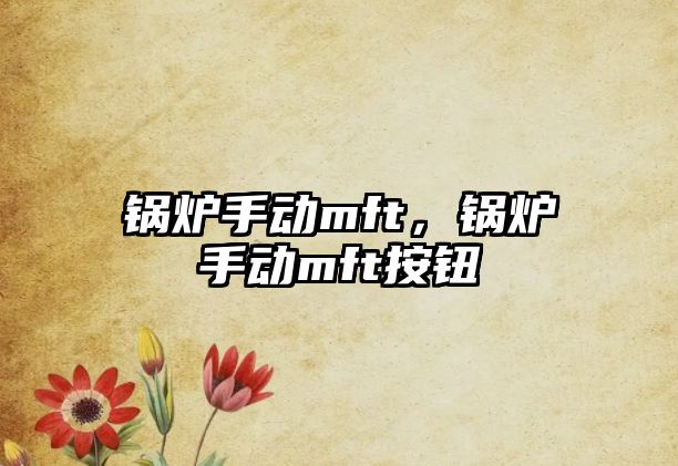 鍋爐手動(dòng)mft，鍋爐手動(dòng)mft按鈕