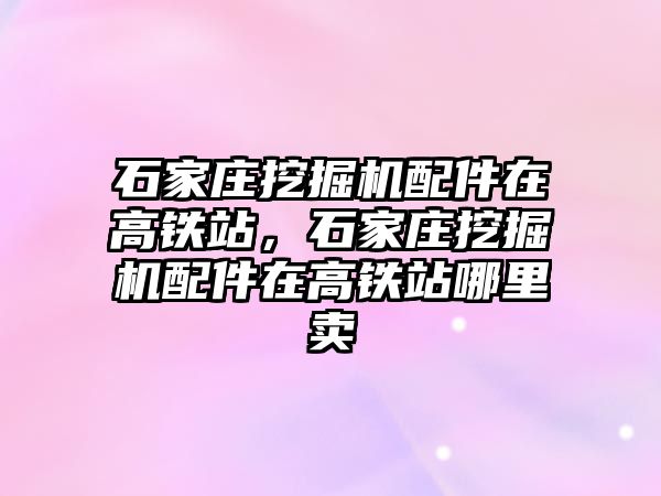 石家莊挖掘機配件在高鐵站，石家莊挖掘機配件在高鐵站哪里賣