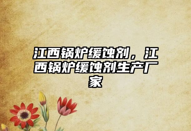 江西鍋爐緩蝕劑，江西鍋爐緩蝕劑生產(chǎn)廠(chǎng)家