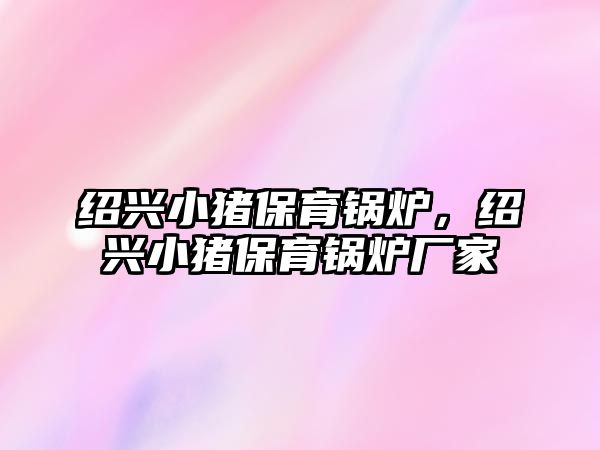 紹興小豬保育鍋爐，紹興小豬保育鍋爐廠家