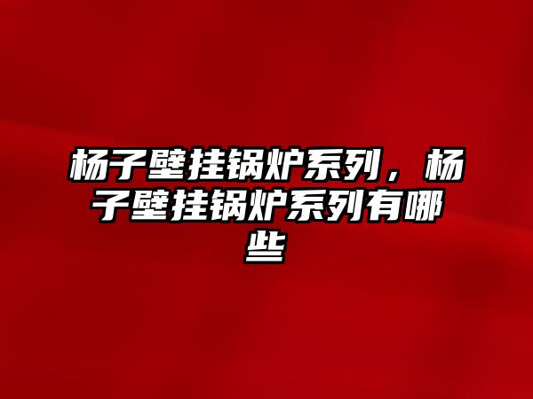 楊子壁掛鍋爐系列，楊子壁掛鍋爐系列有哪些