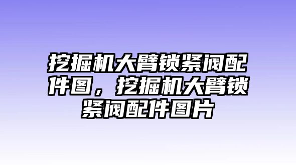 挖掘機(jī)大臂鎖緊閥配件圖，挖掘機(jī)大臂鎖緊閥配件圖片