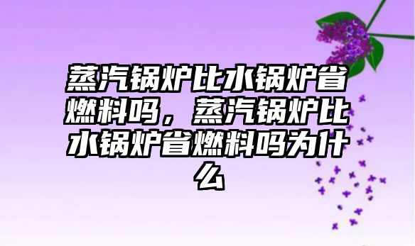 蒸汽鍋爐比水鍋爐省燃料嗎，蒸汽鍋爐比水鍋爐省燃料嗎為什么