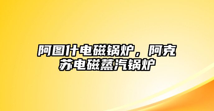 阿圖什電磁鍋爐，阿克蘇電磁蒸汽鍋爐