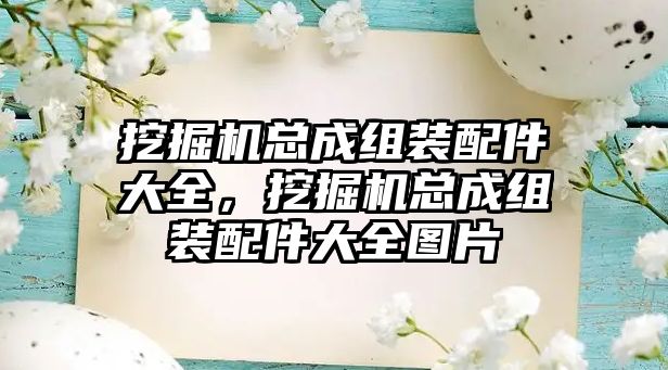 挖掘機總成組裝配件大全，挖掘機總成組裝配件大全圖片