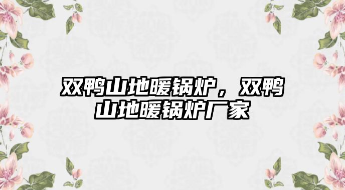 雙鴨山地暖鍋爐，雙鴨山地暖鍋爐廠家