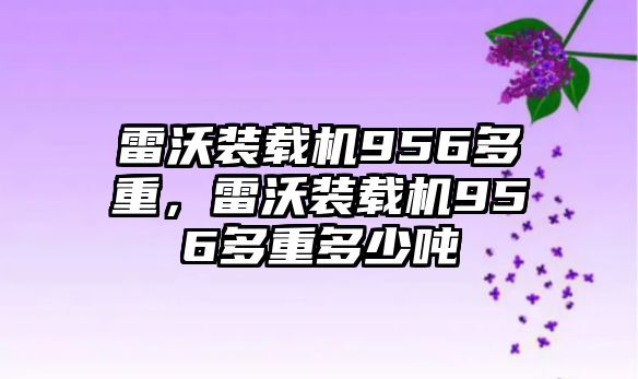 雷沃裝載機956多重，雷沃裝載機956多重多少噸