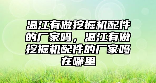 溫江有做挖掘機配件的廠家嗎，溫江有做挖掘機配件的廠家嗎在哪里