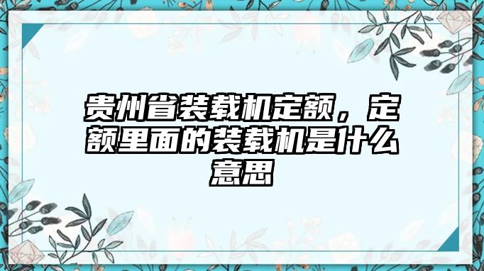 貴州省裝載機定額，定額里面的裝載機是什么意思