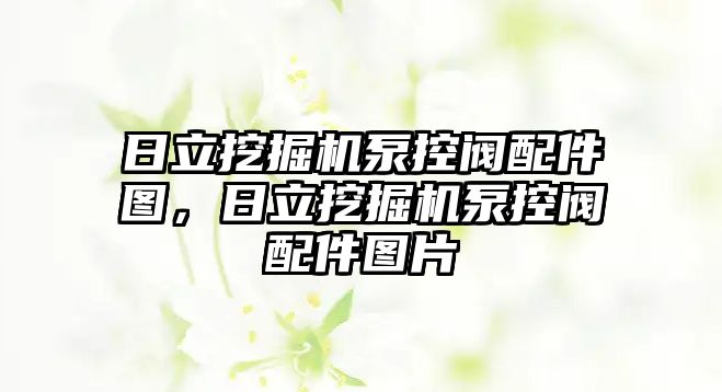 日立挖掘機泵控閥配件圖，日立挖掘機泵控閥配件圖片