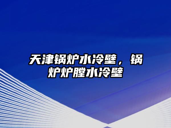 天津鍋爐水冷壁，鍋爐爐膛水冷壁