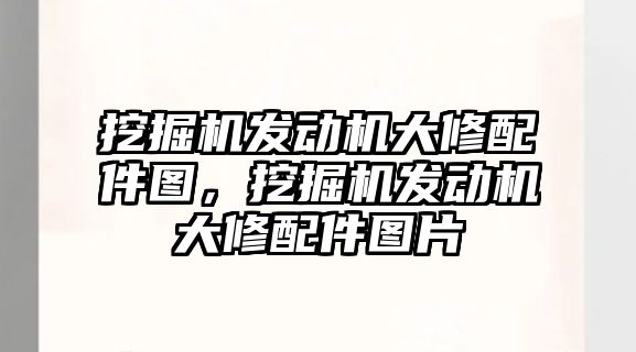 挖掘機(jī)發(fā)動機(jī)大修配件圖，挖掘機(jī)發(fā)動機(jī)大修配件圖片