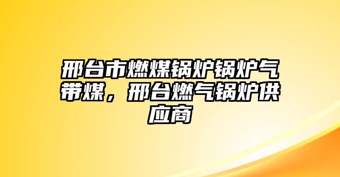 邢臺市燃煤鍋爐鍋爐氣帶煤，邢臺燃氣鍋爐供應(yīng)商