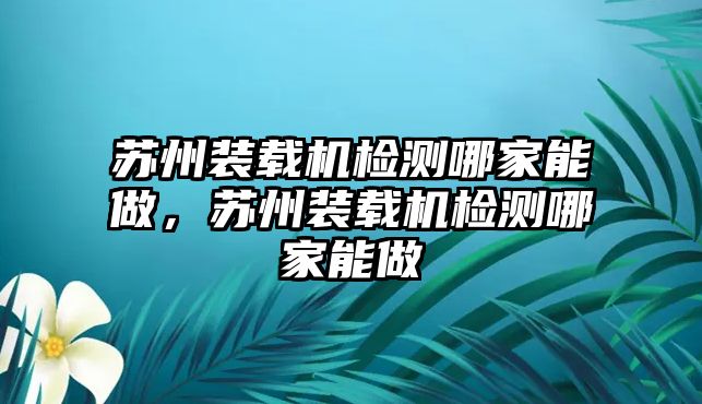 蘇州裝載機(jī)檢測(cè)哪家能做，蘇州裝載機(jī)檢測(cè)哪家能做