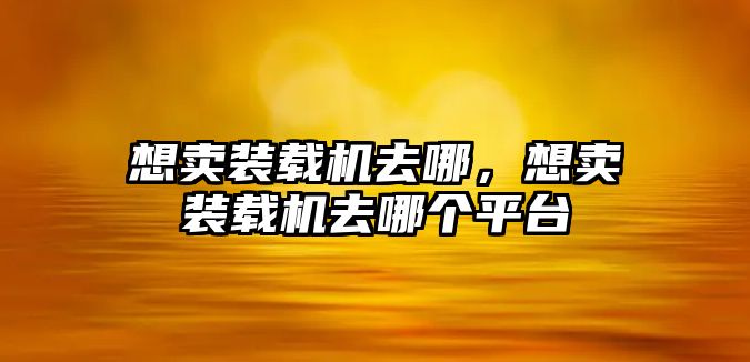 想賣裝載機(jī)去哪，想賣裝載機(jī)去哪個平臺