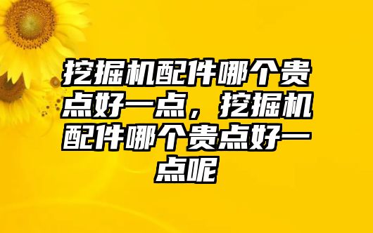 挖掘機(jī)配件哪個(gè)貴點(diǎn)好一點(diǎn)，挖掘機(jī)配件哪個(gè)貴點(diǎn)好一點(diǎn)呢