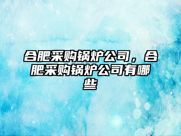 合肥采購鍋爐公司，合肥采購鍋爐公司有哪些