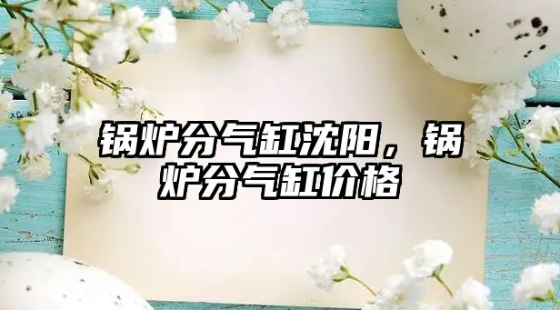 鍋爐分氣缸沈陽，鍋爐分氣缸價(jià)格