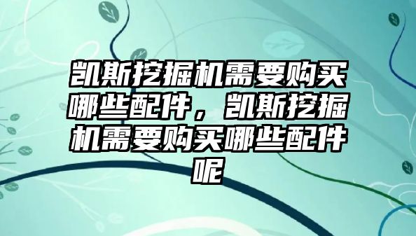 凱斯挖掘機需要購買哪些配件，凱斯挖掘機需要購買哪些配件呢